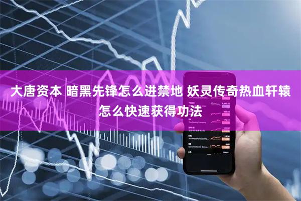 大唐资本 暗黑先锋怎么进禁地 妖灵传奇热血轩辕怎么快速获得功法