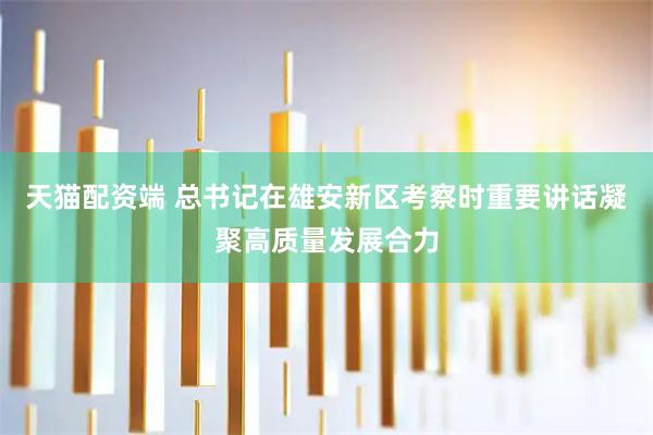 天猫配资端 总书记在雄安新区考察时重要讲话凝聚高质量发展合力